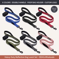 Laisse pour chien rembourrée à double poignée avec porte-sac à déjections, laisse en nylon réfléchissante robuste pour chiens de taille moyenne à grande, logo personnalisé