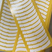 Film de diffusion PET découpé sur mesure 0,1 mm LGT100J |   Feuille mate double face sur mesure pour solutions LED