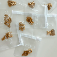 Sacs d'emballage pour bijoux en PVC avec logo personnalisé - Mini-pochettes réutilisables pour boucles d'oreilles, bagues, montres et lunettes (100 pièces recyclables)