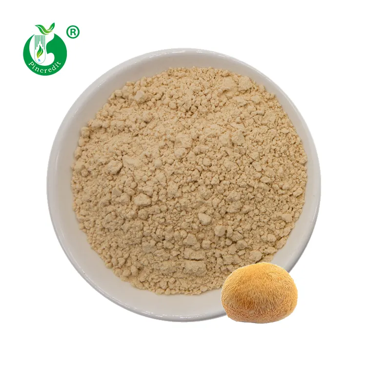 Wholesale Price Bulk Organic Hericium Erinaceus Mushroom Lions Mane Powder