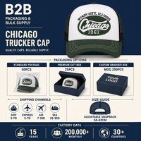 Casquette de baseball personnalisée style Trucker Chicago, dos en maille, visière courbée, Windy City 1967 Vintage, 4 couleurs assorties, unisexe, vente en gros, OEM