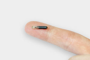 Microchip d'identification animale le plus vendu, transpondeur pour chien avec seringue, puce en verre Icar pour FDX-B 134,2 kHz pour animaux de compagnie - Product Image 4