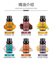 Ensemble d'huiles essentielles de Noël 6 bouteilles d'huiles de parfum de vacances coffret cadeau pour diffuseur senteurs de maison