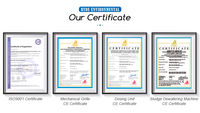 Separador de Arena de Tipo Presión Eficiente, Totalmente Automático, Controlado por PLC, de Acero Inoxidable SS304/SS316, Máquina de Filtración de Aguas Residuales de Construcción