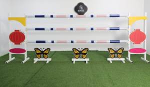 Mini Ostacoli da Salto per Cavalli in PVC e Alluminio, Barriere per Equitazione in Vendita - Product Image 2