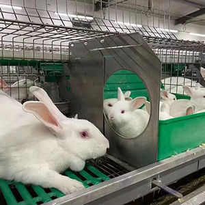 Jaula de animales pequeños galvanizada en caliente, casa de conejo de cría con caja nido adjunta, jaulas de conejo de nueva condición en venta - Product Image 1