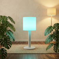 Lampe sur pied, lampe de table, énergie solaire, lumière blanc chaud, commande par interrupteur, design contemporain, matériau PVC, utilisation en jardin