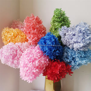 QSLH-SY0413 Offre Spéciale 2024 hortensia conservé fleurs conservées colorées de haute qualité nouveau lot pour la décoration de mariage et de la maison - Product Image 1