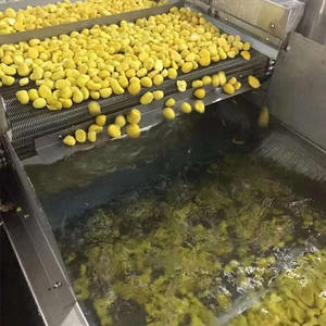 XMSD kastanye Frozen populer | Kastanye kupas IQF Premium dengan kualitas andal untuk produsen makanan skala besar - Product Image 6