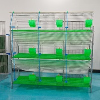 Fabricant vend directement des cages d'élevage de lapins de nouvelles spécifications multiples, en acier galvanisé, faciles à nettoyer