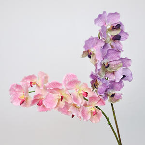 <span class=keywords><strong>Vanda</strong></span> artificiale idratante al tocco realistico e orchidee Phalaenopsis perfette per la casa di nozze e la decorazione ingegneristica - Product Image 4