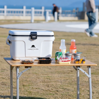 Glacière portable 13L pour extérieur, qualité alimentaire, pour plage, camping, pique-nique, voyage léger