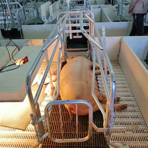 La meilleure caisse de mise bas de porcs galvanisée à chaud de vente pour la <span class=keywords><strong>cage</strong></span> d'équipement de ferme de porc - Product Image 4