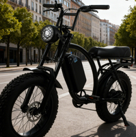 Vélo électrique personnalisé avec assistance électrique, moteur de moyeu arrière 48V 20 pouces, pneus larges au lithium, pour la neige, le sable et les terrains accidentés, longue autonomie de la batterie