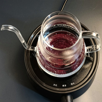 HIGHWIN Bouilloire à café à col de cygne en verre à bec long de 600ml