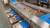 Volledig automatische machine voor het wassen, drogen en sorteren van groenten en fruit met bubbels, voor industriële verwerkingsbedrijven en landbouwgebruik.