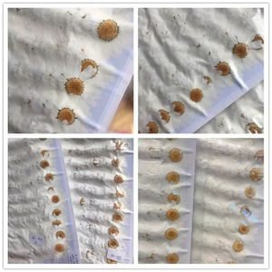 Umwelt freundliche weiße Kristall gänseblümchen gepresste Blumen für Harz schmuck Pflanzen probe Valentinstag Geschenk - Product Image 4