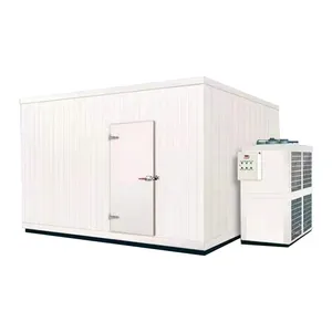 Factory Price Manufacturer Supplier Quick Freezer Container Freezer Cold Room Refrigeration Unit