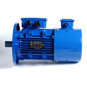 Motor de Inducción Asíncrono Trifásico de la Serie HMVP de 380 V, Frecuencia Variable (5-100 Hz), Clase de Aislamiento IP55 F, 100% - Product Image 2