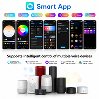 Ampoule LED Intelligente Wi-Fi, Contrôle Vocal via l'Application Alexa, Télécommande 2.4G, Multicolore RGB pour la Nuit, les Fêtes et les Jeux, Appareils Domestiques Intelligents