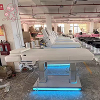 Lit de beauté hydraulique électrique certifié CE, base en acier inoxydable, portable, pour spa, soins du visage, massage