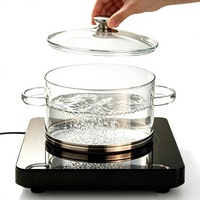 Casserole en verre borosilicate transparent, pot à soupe, pot à ragoût, ustensiles de cuisine résistants à la chaleur avec couvercle en verre pour cuisinière à induction
