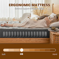 Matelas à ressorts ensachés pour hôtel, maison, hôpital, lit double, salon, matelas en mousse à mémoire de forme, prix d'usine