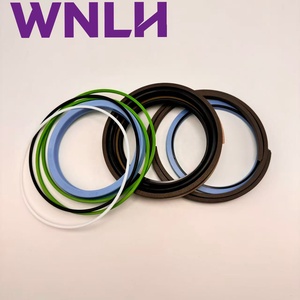 ชุดซ่อมซีลกระบอกสูบบูม WNLH LZ00442 สำหรับรถขุด CASE รุ่น CX240 CX240A CX225SR ชุดซ่อมซีลน้ำมันกระบอกสูบไฮดรอลิกแขนรถขุด - Product Image 1