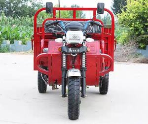 Triciclo agrícola refrigerado por agua del eje del cojinete de carga de la motocicleta 250cc de la <span class=keywords><strong>tres</strong></span>-Rueda de la carga - Product Image 3