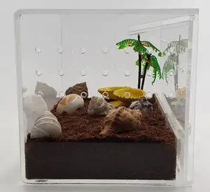 Caixa acrílica para animais de estimação, caixa criadora para répteis e insetos, transparente, novidade em 2024