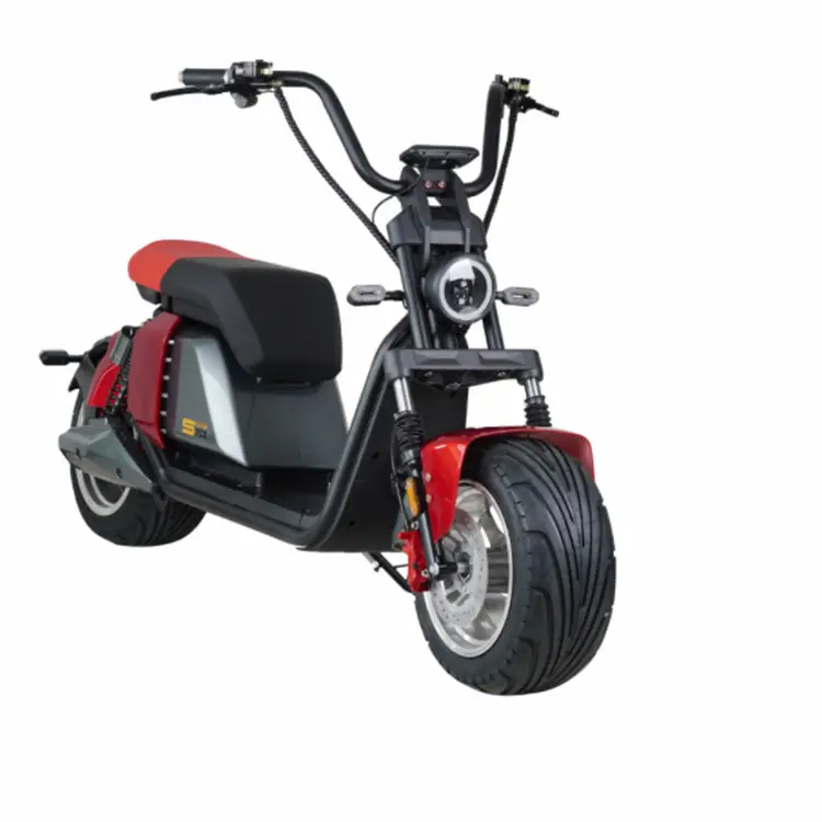 EEC Xe Scooter Citycoco Pin Tháo Rời Chạy Điện Xe Đạp Điện Cân Bằng Thông Minh Hai Bánh