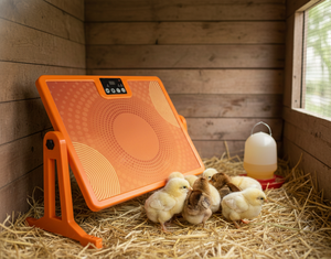 Chauffe-élevage pour poussins, chauffe-élevage intelligent pour poulets avec thermostat APP, chauffe-élevage radiant FIR 250W pour poulailler avec 86~194 ℉   Minuterie 24H - Product Image 4