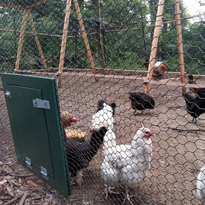 Prix d'usine, vente chaude : Rouleau de grillage hexagonal en PVC pour poulailler, grillage tissé pour clôture animale, idéal pour les poulets - Product Image 3