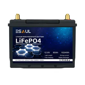 Vendita calda 48V 200Ah Lifepo4 Lifepo4e 50Ah 300Ah batteria agli ioni di litio 100Ah 12V