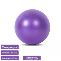 Ballon de Pilates 25 cm en PVC, mini ballon de yoga anti-explosion, épaissi, finition mate, tube style paille, pour l'équilibre et le renforcement des fessiers