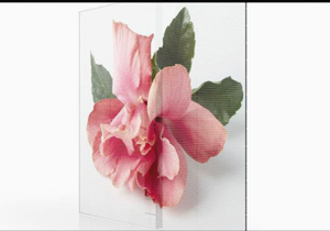 Pantalla LED Transparente para Escaparates para Atraer Más Clientes - Product Image 2
