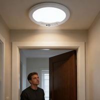 Nouvelle arrivée, plafonnier LED intelligent magnétique sans fil, rechargeable, portable, corps en ABS, détecteur de mouvement, variateur d'intensité, utilisation intérieure et extérieure