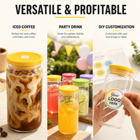 Livraison Rapide – Gobelet en Verre Borosilicate de 16 oz, 12 Couleurs, avec Couvercle et Paille, Idéal pour Pique-nique en Extérieur, Bureau et Maison