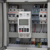 Interruptor de Tiempo Digital de 2 Polos y 63A con 16 Programas de Encendido/Apagado e Indicación LED del Estado del Relé, 1,000,000 Ciclos