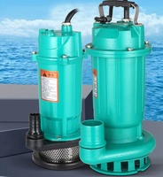 Pompe de vidange submersible QDX avec interrupteur à flotteur, pompe automatique pour eau claire, idéale pour le drainage des sous-sols, caves et piscines