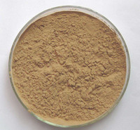 Enzyme Feruloyl Esterase en vrac en fût de 25 kg pour usage commercial