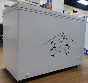 <span class=keywords><strong>Réfrigérateur</strong></span> congélateur solaire DC à double <span class=keywords><strong>porte</strong></span> de grande capacité 350L 12V 24V avec adaptateur - Product Image 5