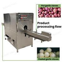 Machine chinoise à double voie pour éplucher et retirer les racines et la peau des oignons, destinée au marché malaisien