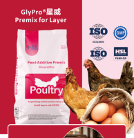 Additifs Alimentaires pour Poulets : Améliore la Qualité des Œufs, Prolonge la Période de Ponte, Prémélange pour Poules Pondeuses à Bon Prix