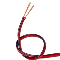 Câble électrique de puissance basse tension à double âme en cuivre PVC rouge noir RVB2x0.5/0.75/1.0/1.5/2.5mm pour LED CCTV (300/300V)