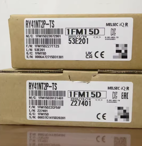 RY41NT2P-TS 24V 18A โมดูลเอาต์พุตทรานซิสเตอร์ 32 จุด ประสิทธิภาพสูง รับประกัน 1 ปี ญี่ปุ่น - Product Image 4