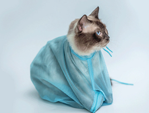 Sac en filet <span class=keywords><strong>anti</strong></span>-griffures pour le toilettage et le lavage des chats, avec fermeture éclair pour le nettoyage des oreilles - Product Image 5