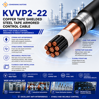 Câble de commande blindé en acier avec gaine PVC en cuivre toronné KVVP2-22 6mm IP68 450/750V pour l'automatisation industrielle OEM CE RoHS