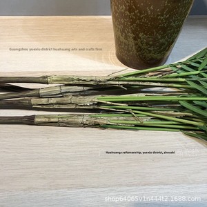 Follaje Artificial de Estilo Nórdico Inspirado en Instagram, Ramo de Hojas de Areca, Hojas de Coco de Plástico, 200 cm, Interior/Exterior - Product Image 3