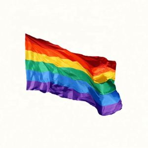 Bandera del Orgullo Gay y Lésbico de 3x5 pies, de Poliéster Ecológico, con Ojales y Doble Costura, para Eventos y Fiestas, Precio Mayorista Económico - Product Image 3